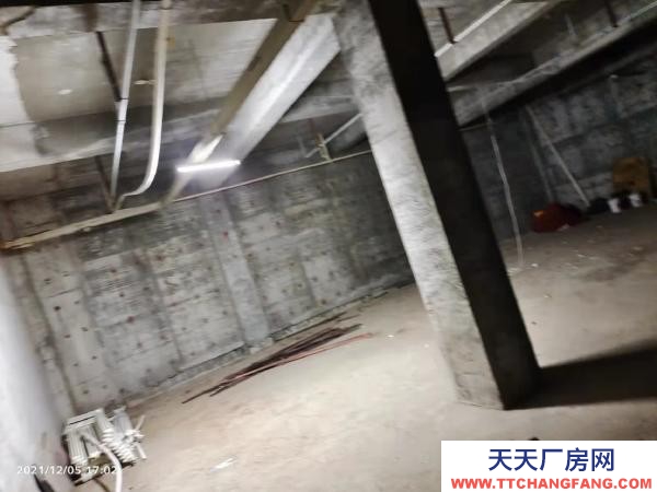 西崗交通方便，近大菜市，有水，價格面議