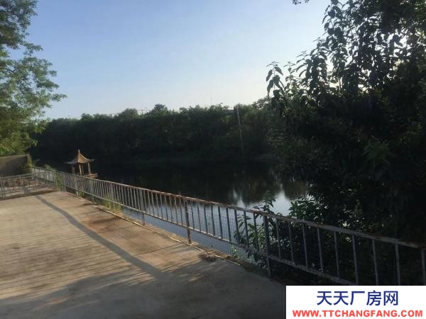 旅順口火石嶺廠地出租 環(huán)境好