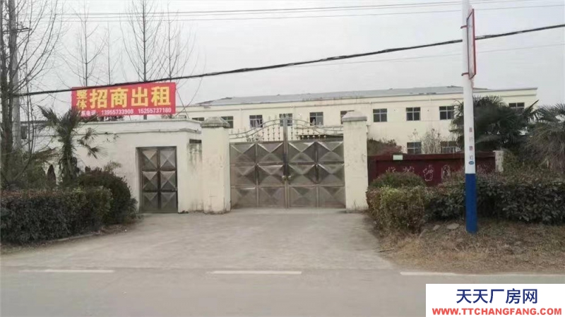 (出租) 招商出租碭山薛樓園區(qū)帶院辦公樓