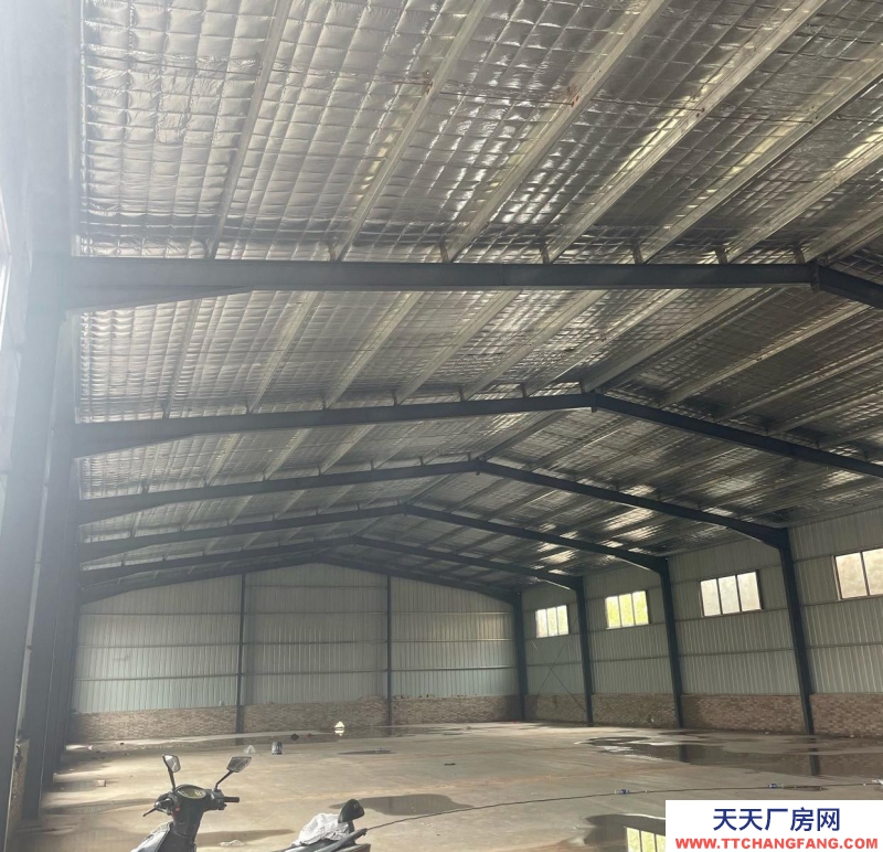 (出租) 全新廠房 靠近310國道 趙屯鎮梅屯居委會旁