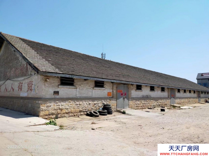 (出租) 出租碭山縣道南一庫(kù)倉(cāng)庫(kù)