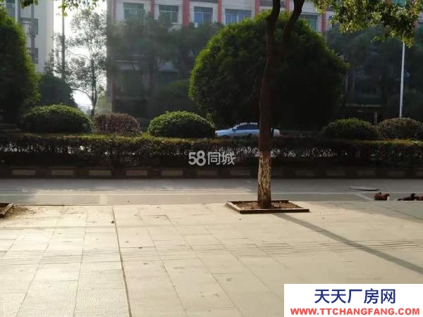 宜春市樟樹物資倉庫  出租樟樹老城區(qū)藥都公園