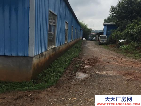 宜春市高安醬腌菜廠房 個人低價出租高安市大城鎮320國道旁1500平廠房,有三相電