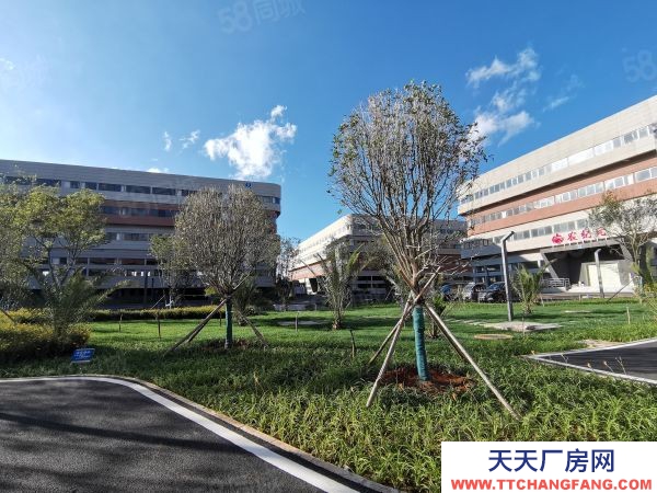 官渡標準廠房出租