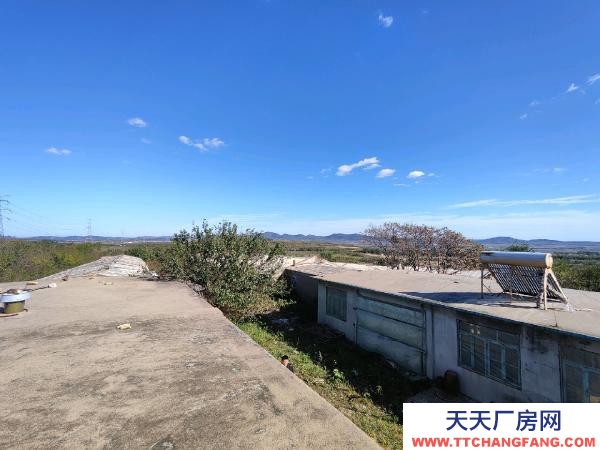 瓦房店養(yǎng)殖場出租(附帶外部十幾畝地可以圈養(yǎng))