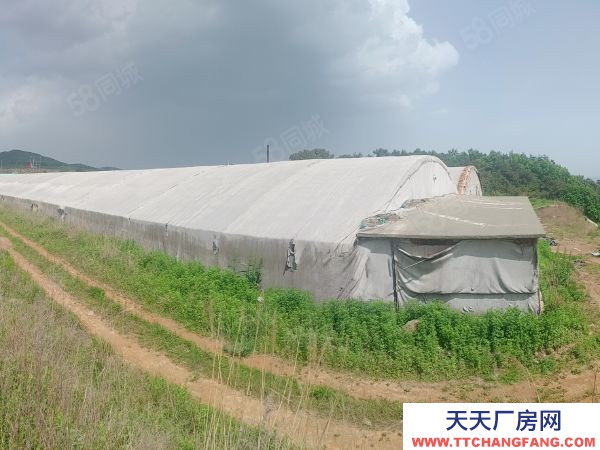 莊河石城島附近海參育苗廠房對(duì)外出售