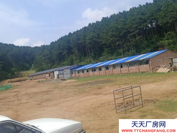 東洲動力電200千瓦，可合作