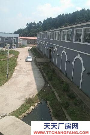 東洲倉庫加廠房，10米舉架