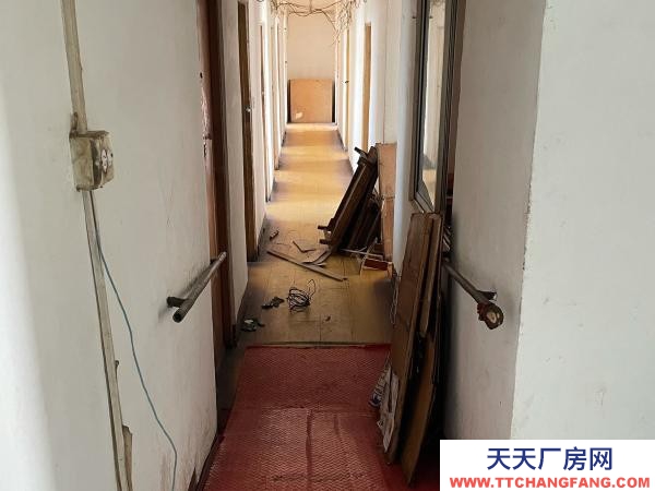 東洲房屋地理位置優(yōu)越，可整租，也可分租