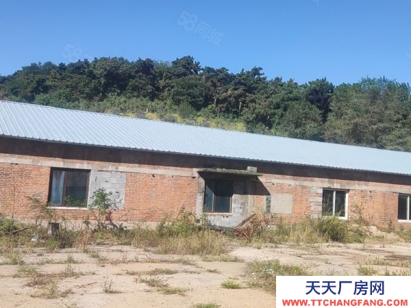 順城區望月路大型廠房低價出租