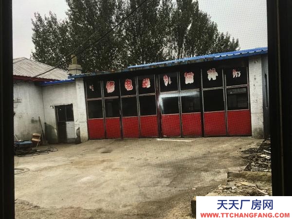 順城平房，大院，有動力電