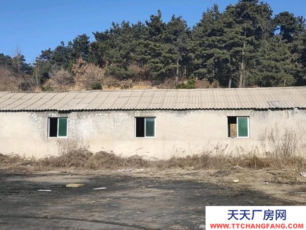 撫順可做生產廠房 庫房 養殖場