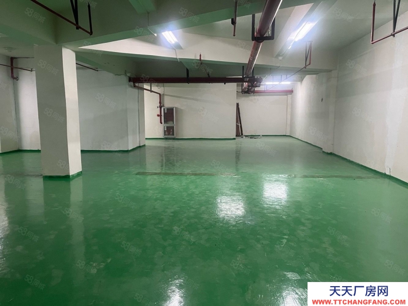(出售) 單價1000多70年產(chǎn)權(quán)倉儲間 面積可選 公攤小利用空間大