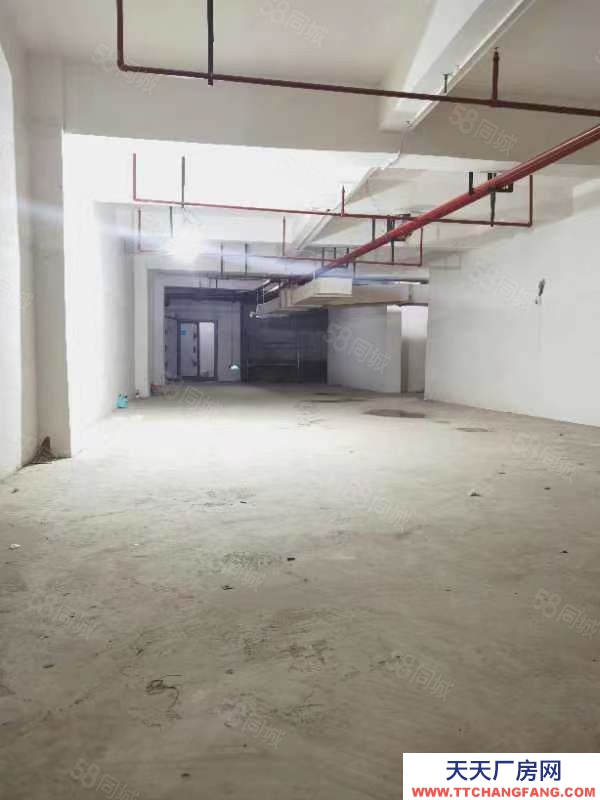 官渡區(qū)地下倉儲出售