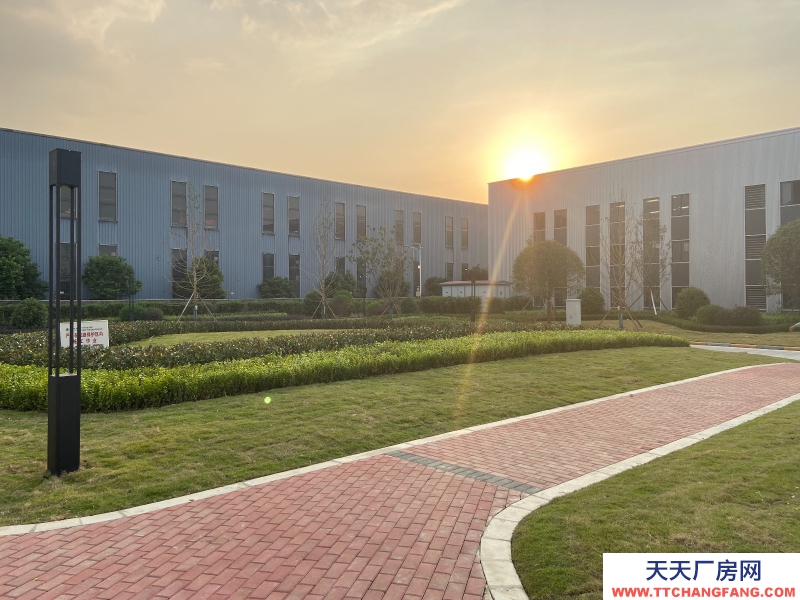 城北單層鋼結構現房出租，高速路口，花園廠房！