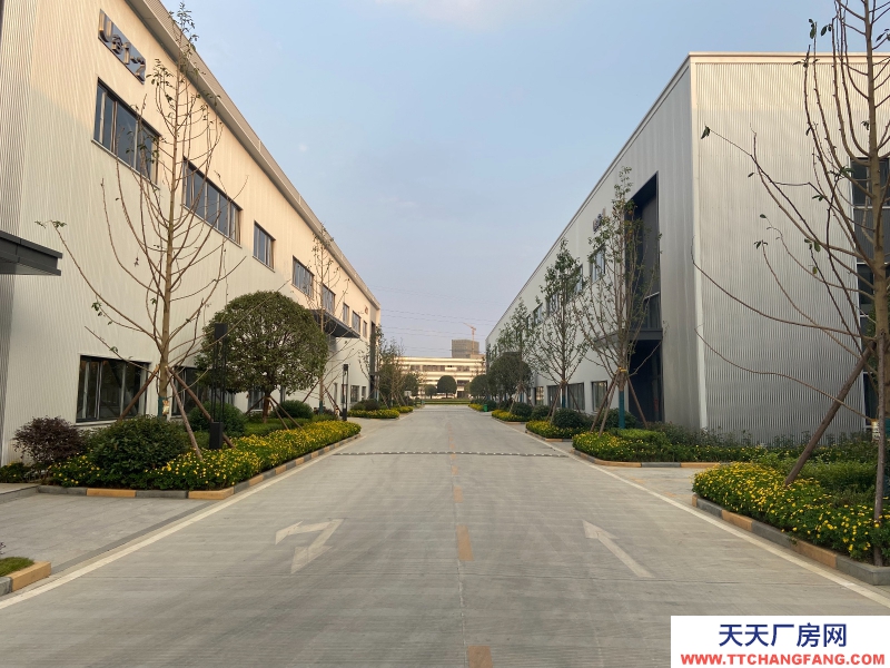 城北單層鋼結構現房出租，高速路口，花園廠房！