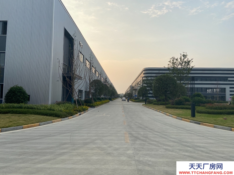 城北單層鋼結構現房出租，高速路口，花園廠房！