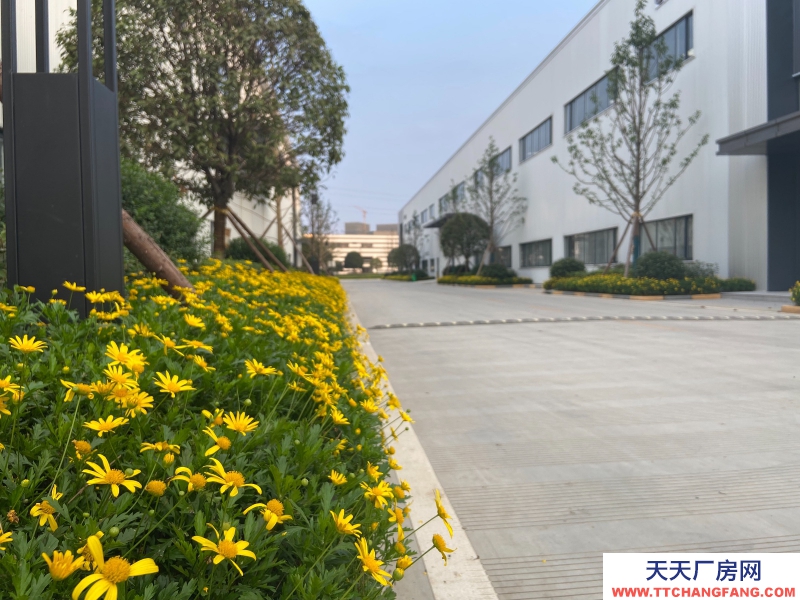 城北單層鋼結構現房出租，高速路口，花園廠房！