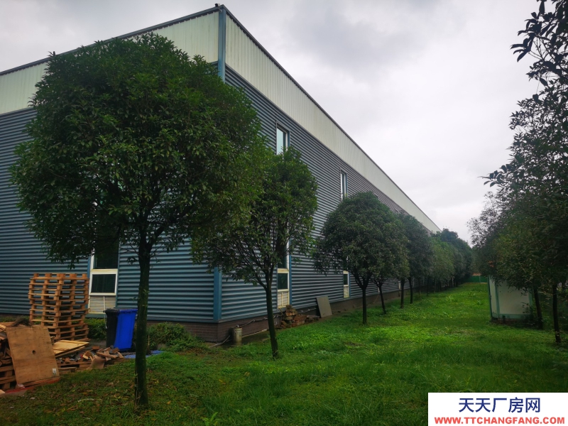 成都市新都區工業東區鋼結構廠房招租