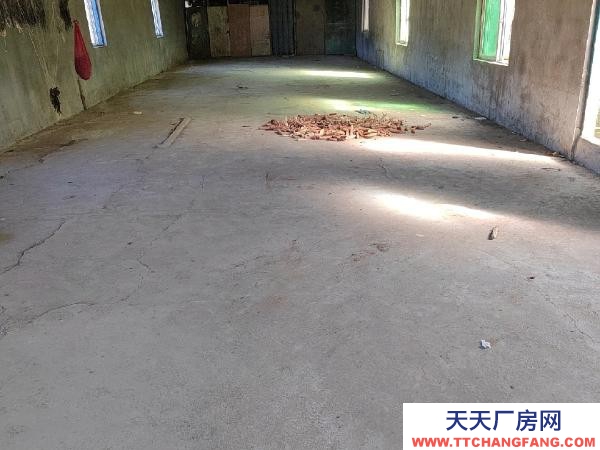 大洼可做倉庫，廠房，有三項電。