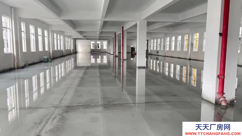 開發(fā)商直售:五十年獨(dú)立產(chǎn)權(quán)廠房招商