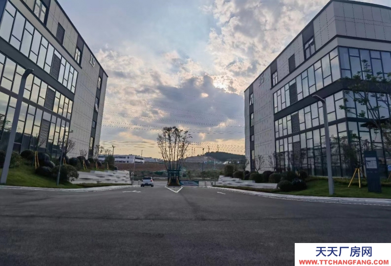 安州區界牌鎮園區廠房出售（鋼結構，框架結構）