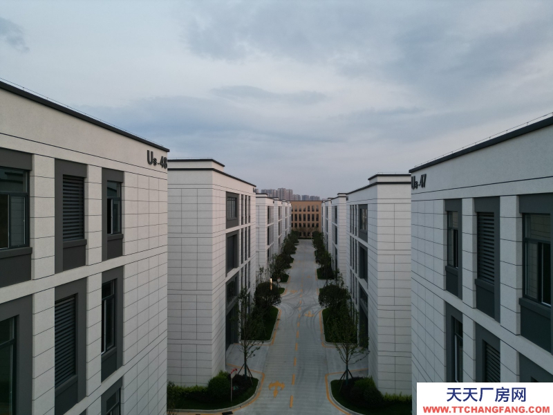 50年獨立分割產權標準化廠房租售