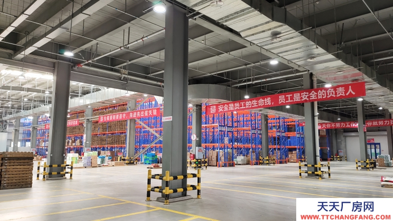 青白江食品產業園區現房出租