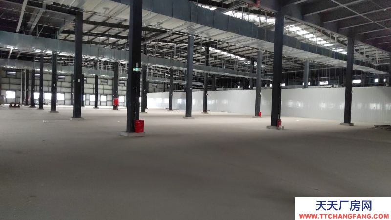 青白江食品產業園區現房出租