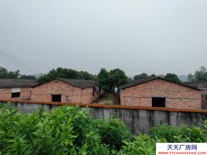 成都周邊5000平米廠房出租