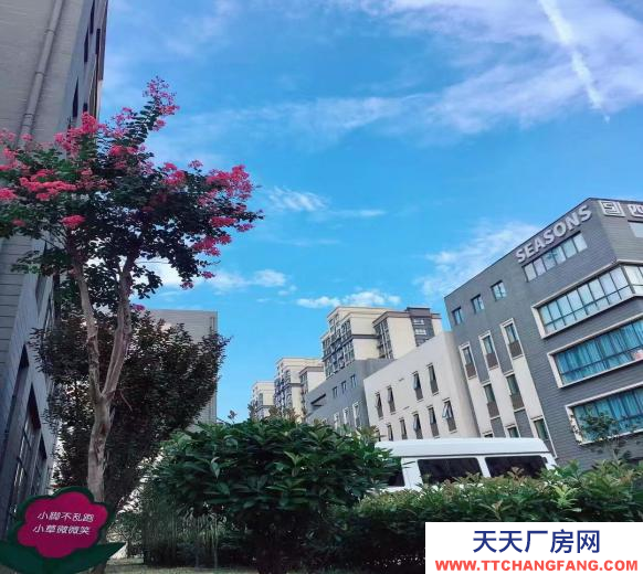 合肥富邦產業園-花園式獨棟辦公樓-核心位置-交通便利