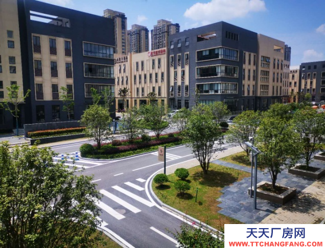 合肥富邦產業園-花園式獨棟辦公樓-性價比高