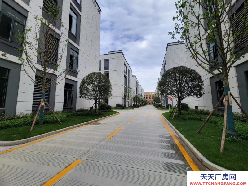 廣漢聯(lián)動U谷標(biāo)準(zhǔn)廠房招租