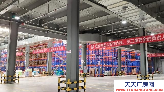 青白江2800平鋼結構廠房現房出租