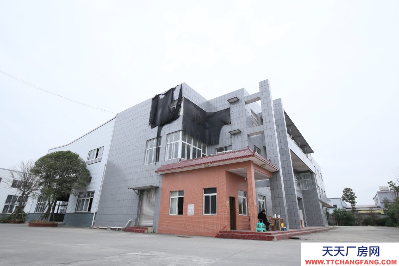 大邑沙渠園區(qū)標(biāo)準(zhǔn)鋼結(jié)構(gòu)廠房出租20000平