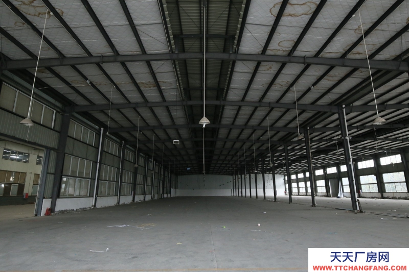 大邑沙渠園區(qū)標(biāo)準(zhǔn)鋼結(jié)構(gòu)廠房出租20000平