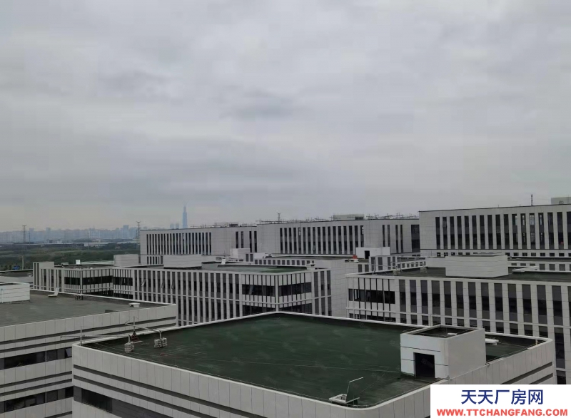 高新西區(qū)華為、京東方之間的 電子產(chǎn)業(yè)園區(qū)582—24000㎡品質(zhì)園區(qū)出租