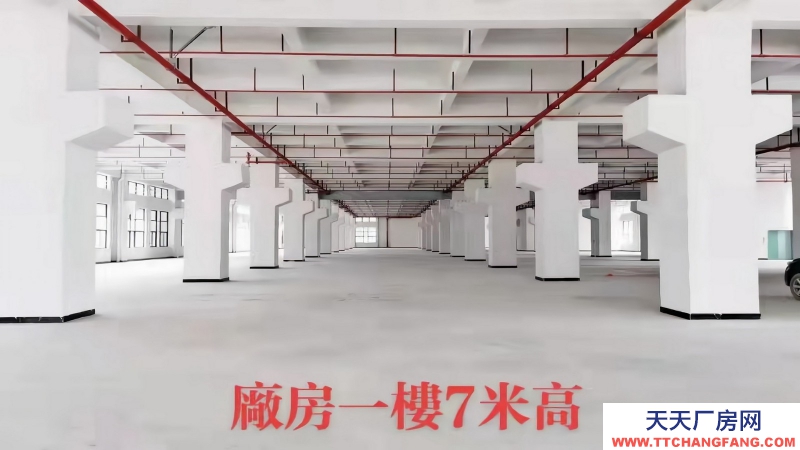 東莞市塘廈鎮(zhèn)1萬平方原業(yè)主全新獨棟廠房出租
