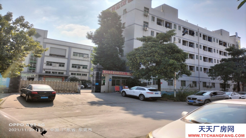 東莞市謝崗鎮(zhèn)12000平方獨(dú)門獨(dú)院廠房出租