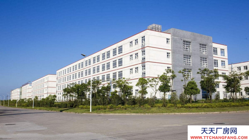 惠州市博羅縣龍溪鎮(zhèn)10000平方獨棟廠房出租