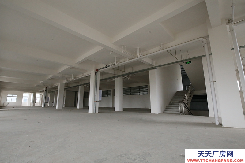 大邑沙渠園區標準鋼結構廠房出租