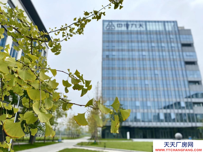 租售雙流新城科技產業園，獨棟平層，電子信息醫療入