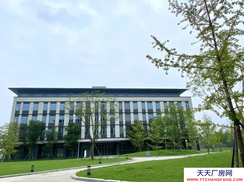 租售雙流新城科技產業園,獨棟平層,電子信息醫療入