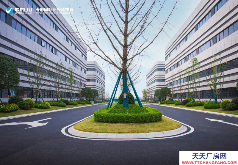 天府新區視高S5號線旁 50年產權廠房招商 1100平起獨棟 贈送面積大 得房率最高120%