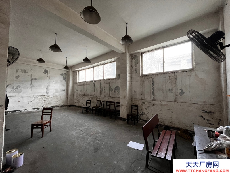 出租金牛沙河源 廠房 倉庫 場地 川建園區內