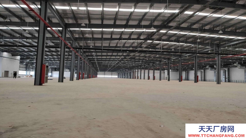 廣東省東莞市鳳崗鎮(zhèn)12000平方物流倉庫出租