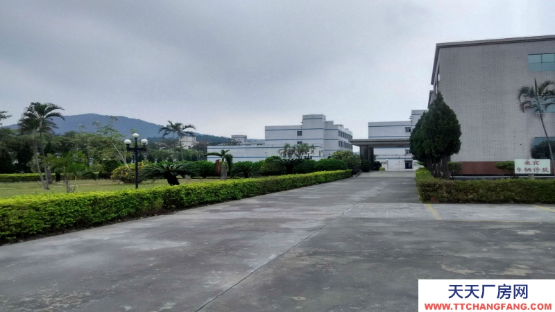 廣東省東莞市塘廈鎮１萬平方一樓標準廠房出租