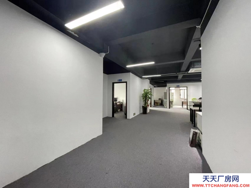 新年特惠特價！無中介費開發商直租，精裝修辦公，6隔間+30工位，可辦公實驗