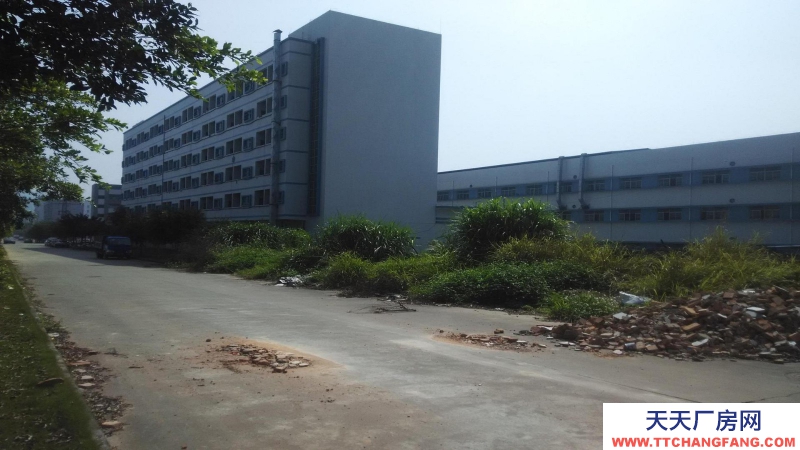 東莞鳳崗鎮(zhèn)21000平方五星干倉(cāng)物流倉(cāng)庫(kù)出租