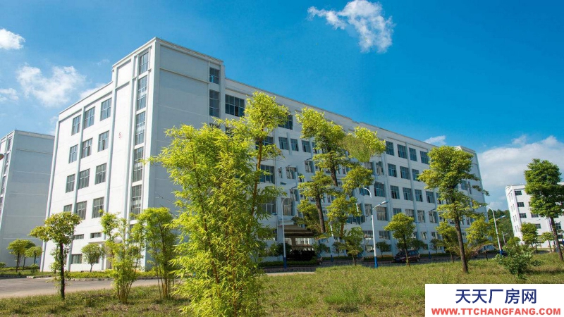 東莞市沙田鎮１６５０平方全新紅本產業園廠房出售